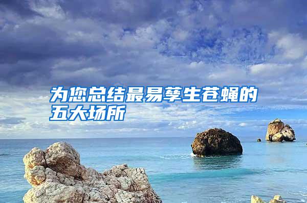 為您總結(jié)最易孳生蒼蠅的五大場所