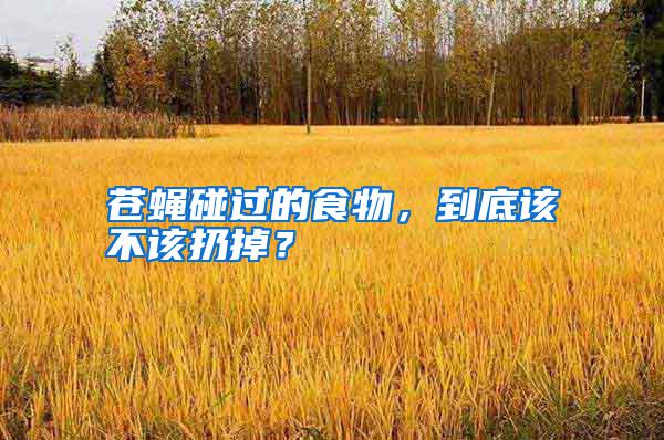 蒼蠅碰過(guò)的食物，到底該不該扔掉？