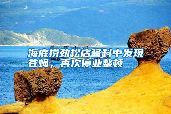 海底撈勁松店醬料中發(fā)現(xiàn)蒼蠅，再次停業(yè)整頓