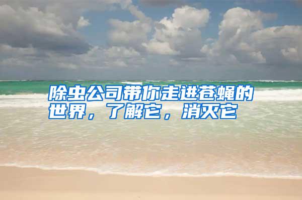 除蟲公司帶你走進蒼蠅的世界，了解它，消滅它