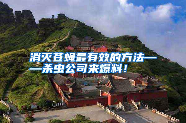 消滅蒼蠅最有效的方法——?dú)⑾x(chóng)公司來(lái)爆料！