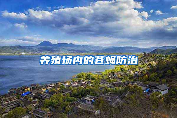 養(yǎng)殖場內的蒼蠅防治