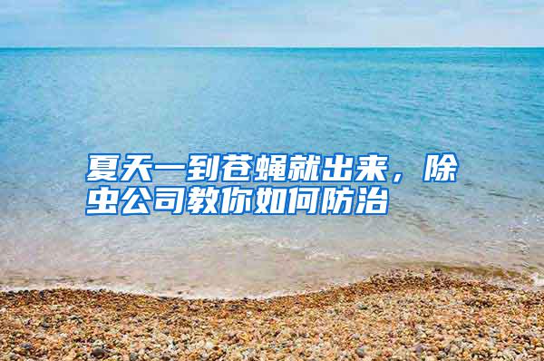 夏天一到蒼蠅就出來(lái)，除蟲(chóng)公司教你如何防治
