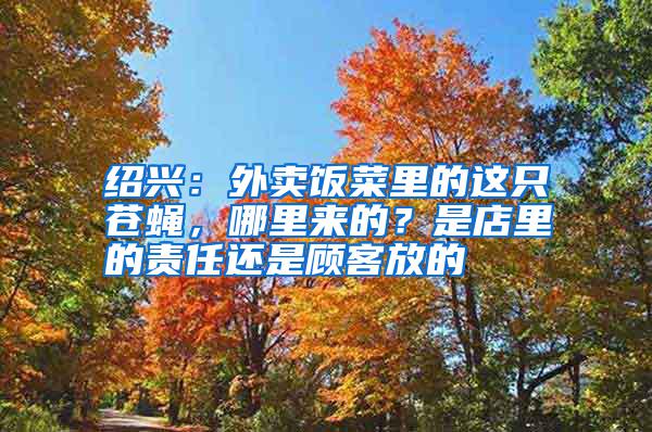 紹興：外賣飯菜里的這只蒼蠅，哪里來的？是店里的責(zé)任還是顧客放的