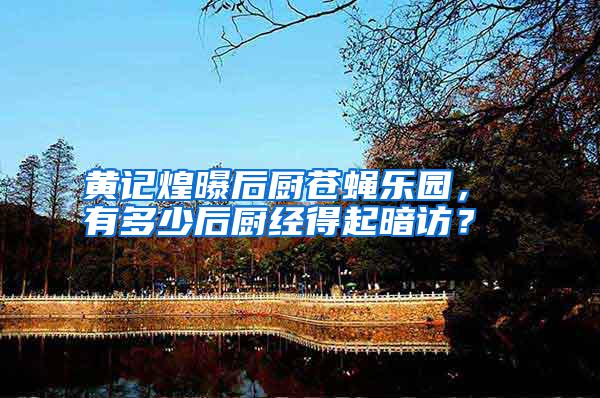 黃記煌曝后廚蒼蠅樂園， 有多少后廚經得起暗訪？