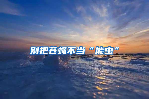 別把蒼蠅不當(dāng)“能蟲”