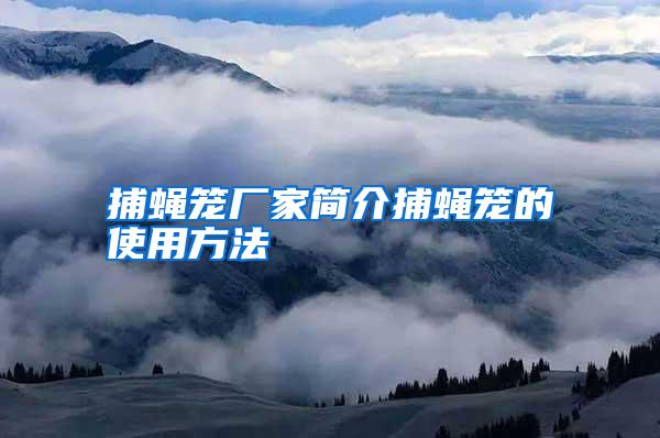 捕蠅籠廠家簡(jiǎn)介捕蠅籠的使用方法
