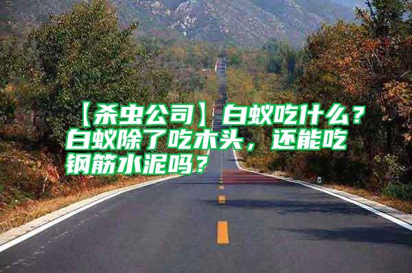 【殺蟲(chóng)公司】白蟻吃什么？白蟻除了吃木頭，還能吃鋼筋水泥嗎？
