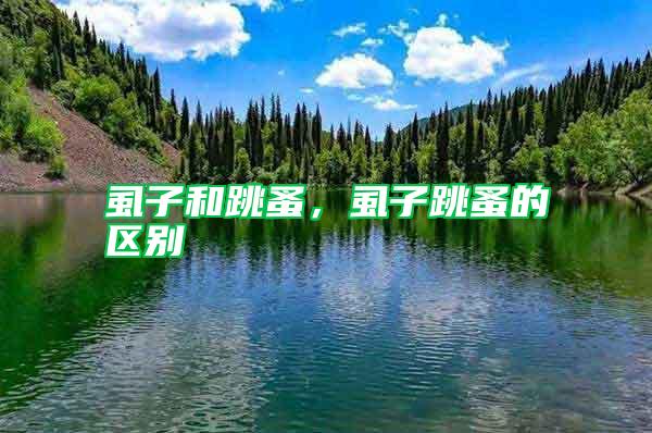 虱子和跳蚤，虱子跳蚤的區別