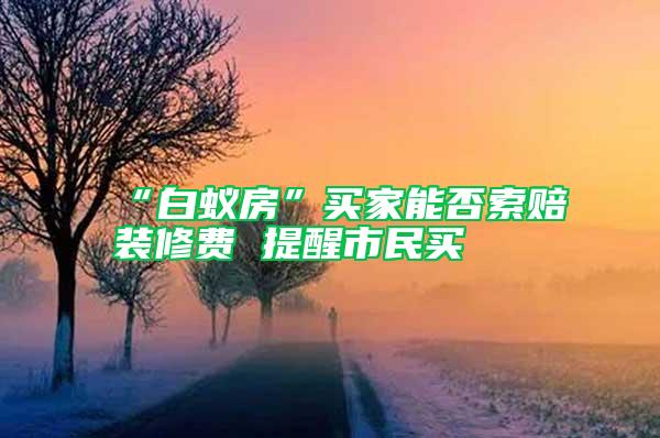“白蟻房”買(mǎi)家能否索賠裝修費(fèi) 提醒市民買(mǎi)