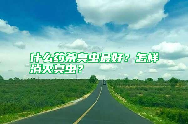什么藥殺臭蟲最好？怎樣消滅臭蟲？