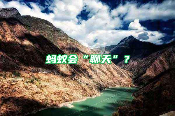 螞蟻會(huì)“聊天”？