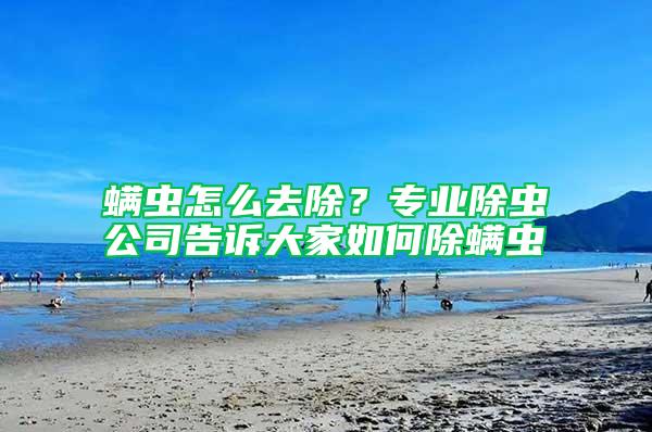 螨蟲怎么去除？專業除蟲公司告訴大家如何除螨蟲