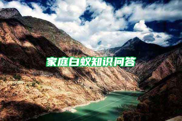 家庭白蟻知識問答