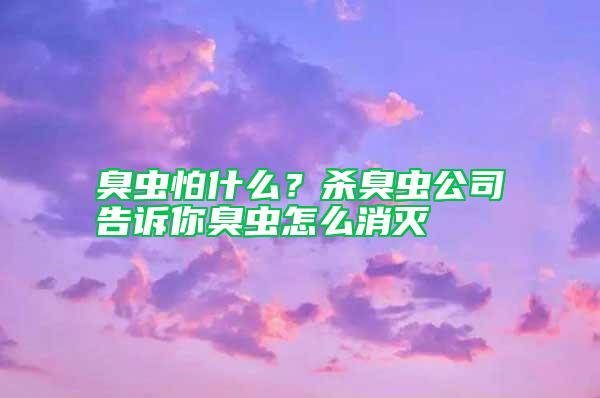 臭蟲怕什么？殺臭蟲公司告訴你臭蟲怎么消滅