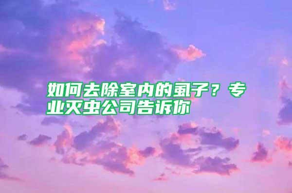 如何去除室內的虱子？專業(yè)滅蟲公司告訴你