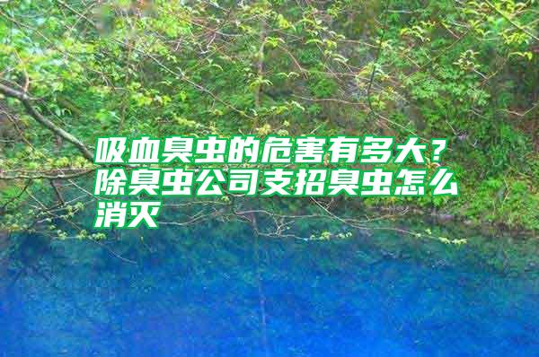 吸血臭蟲(chóng)的危害有多大？除臭蟲(chóng)公司支招臭蟲(chóng)怎么消滅
