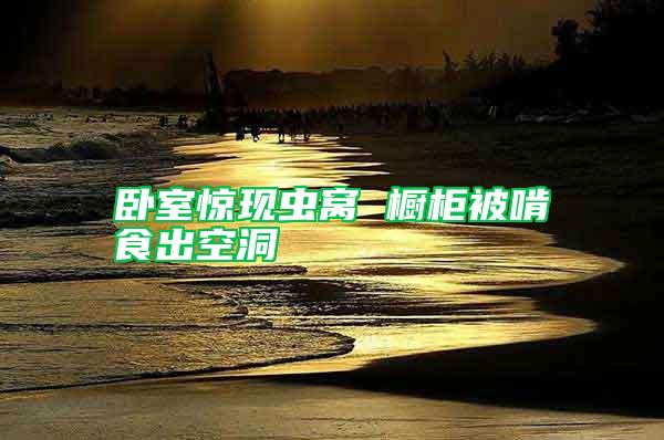 臥室驚現蟲窩 櫥柜被啃食出空洞