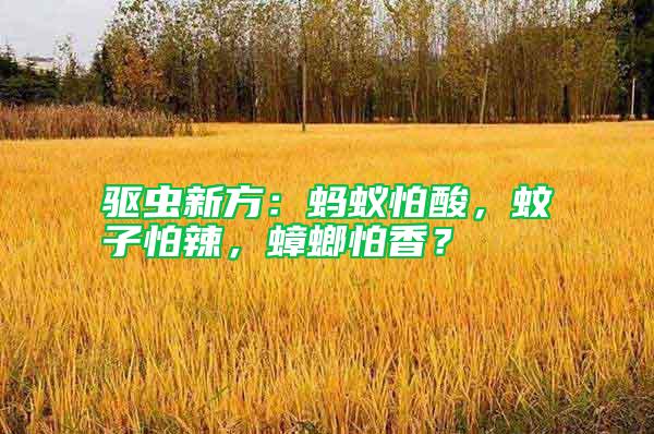 驅(qū)蟲新方：螞蟻怕酸，蚊子怕辣，蟑螂怕香？