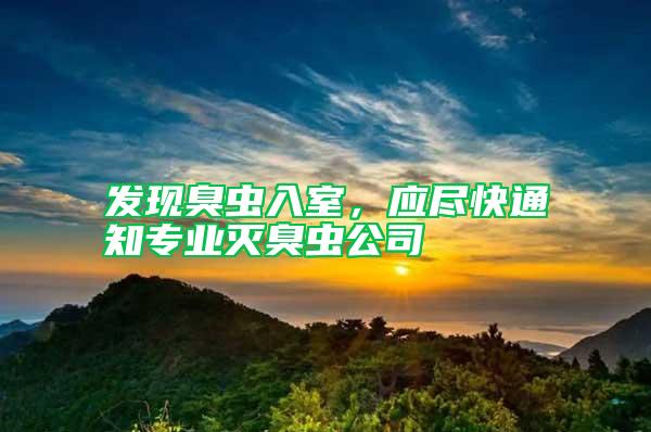 發現臭蟲入室，應盡快通知專業滅臭蟲公司