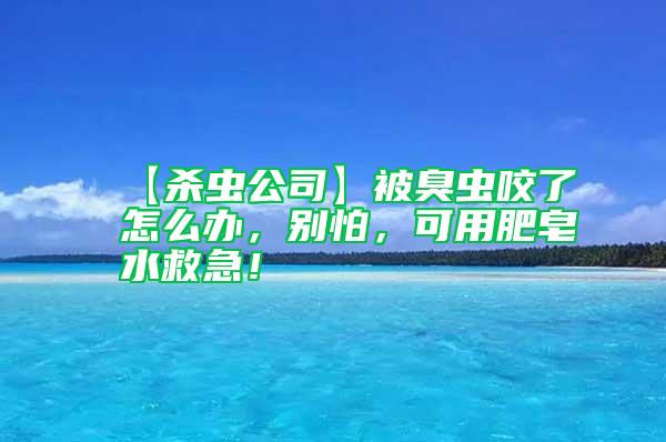【殺蟲公司】被臭蟲咬了怎么辦，別怕，可用肥皂水救急！