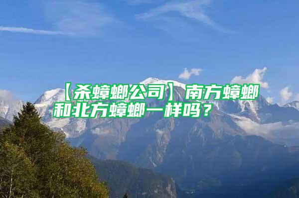 【殺蟑螂公司】南方蟑螂和北方蟑螂一樣嗎？