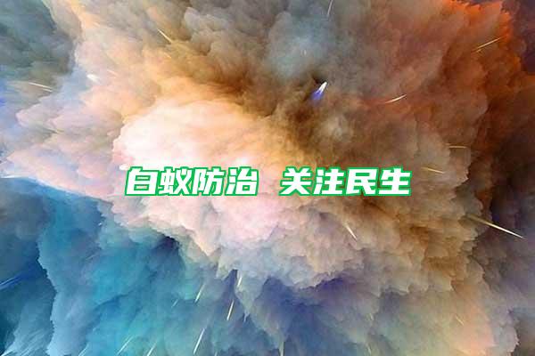 白蟻防治 關(guān)注民生