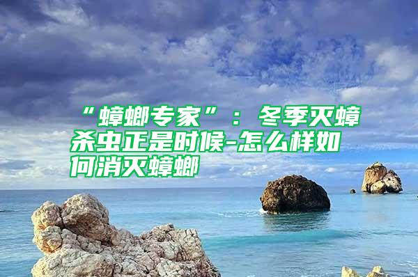 “蟑螂專家”：冬季滅蟑殺蟲正是時(shí)候-怎么樣如何消滅蟑螂