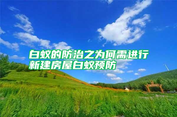 白蟻的防治之為何需進行新建房屋白蟻預防