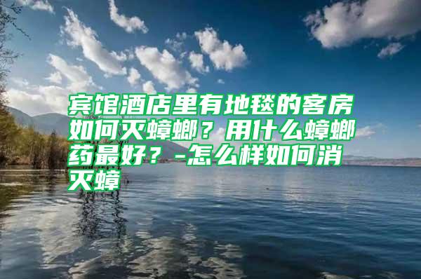賓館酒店里有地毯的客房如何滅蟑螂？用什么蟑螂藥最好？-怎么樣如何消滅蟑