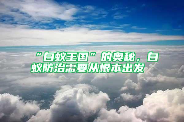“白蟻王國”的奧秘，白蟻防治需要從根本出發