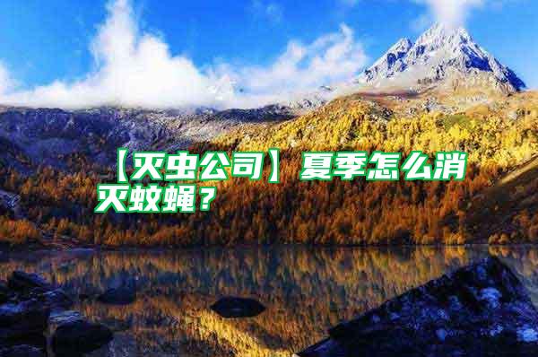 【滅蟲公司】夏季怎么消滅蚊蠅？