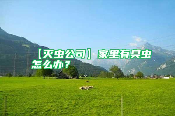 【滅蟲公司】家里有臭蟲怎么辦？
