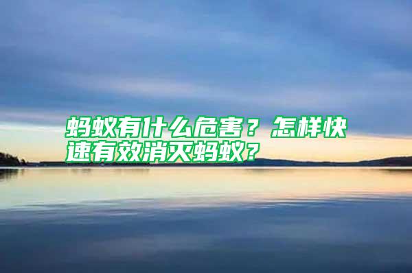螞蟻有什么危害？怎樣快速有效消滅螞蟻？