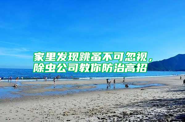 家里發現跳蚤不可忽視，除蟲公司教你防治高招
