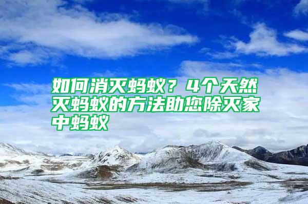 如何消滅螞蟻？4個(gè)天然滅螞蟻的方法助您除滅家中螞蟻