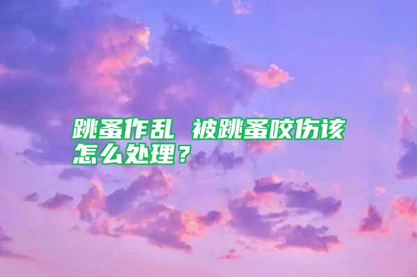 跳蚤作亂 被跳蚤咬傷該怎么處理？