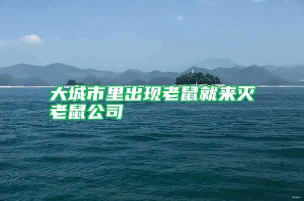 大城市里出現(xiàn)老鼠就來(lái)滅老鼠公司