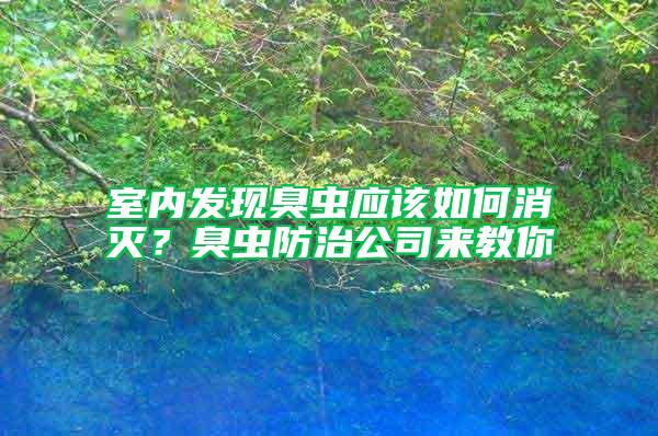 室內(nèi)發(fā)現(xiàn)臭蟲(chóng)應(yīng)該如何消滅？臭蟲(chóng)防治公司來(lái)教你