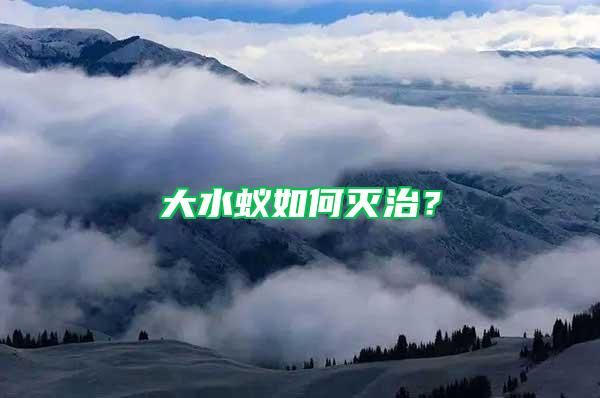 大水蟻如何滅治？
