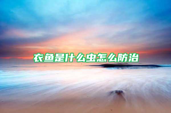 衣魚是什么蟲怎么防治