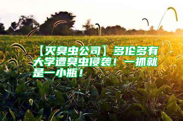 【滅臭蟲(chóng)公司】多倫多有大學(xué)遭臭蟲(chóng)侵襲！一抓就是一小瓶！