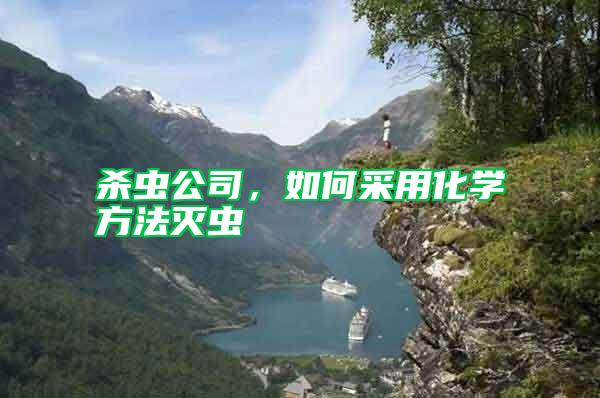 殺蟲公司，如何采用化學方法滅蟲