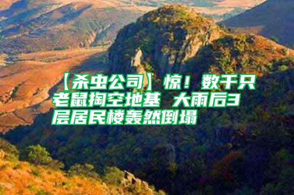 【殺蟲(chóng)公司】驚！數(shù)千只老鼠掏空地基 大雨后3層居民樓轟然倒塌