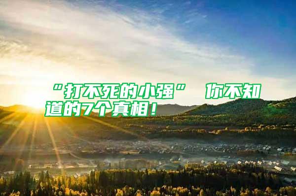 “打不死的小強” 你不知道的7個真相！
