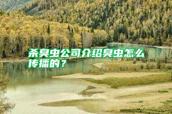 殺臭蟲公司介紹臭蟲怎么傳播的？
