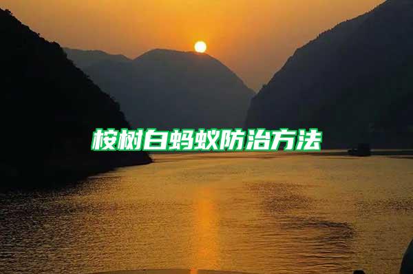 桉樹(shù)白螞蟻防治方法