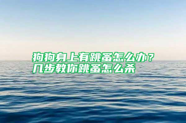 狗狗身上有跳蚤怎么辦？幾步教你跳蚤怎么殺