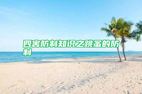 四害防制知識(shí)之跳蚤的防制