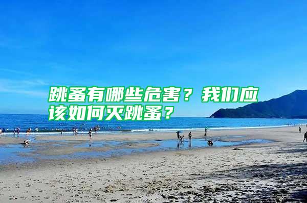 跳蚤有哪些危害？我們應該如何滅跳蚤？